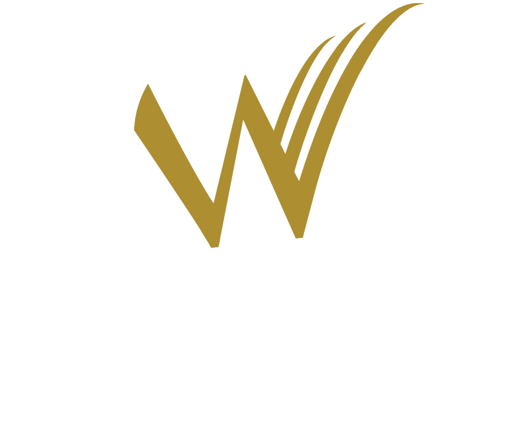 Win Win Marketing & Developers Logo